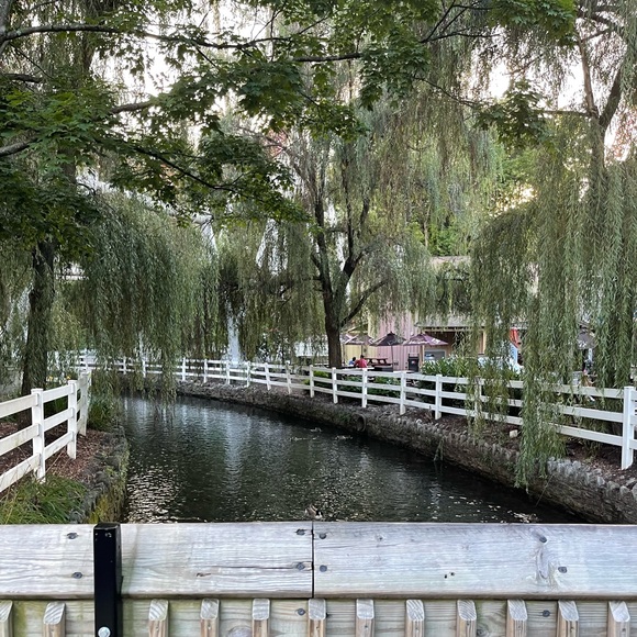 Meet your Posher, Naidelyn - Picture 1 of 8